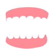 義歯・入れ歯